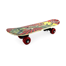 Skates & Skateboards