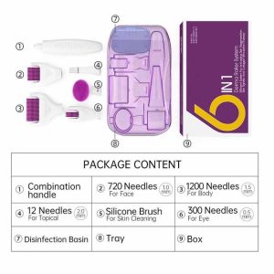 6 In 1 Derma Roller System