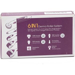 6 In 1 Derma Roller System