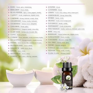 6PCS Massage Aromatherapy Essential Oil