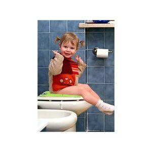 Foldable Portable Potty Training Toilet Seat Cover