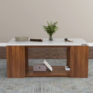 Julz Modern Design Coffee Table With Storage