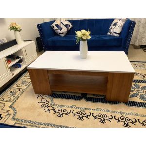 Julz Modern Design Coffee Table With Storage