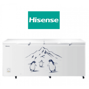 Firinjiyeer Hisense (800L) Chest Freezer FC942D4BWB