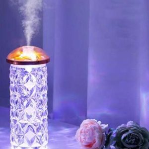 CARFISO MUSHROOM HUMIDIFIER