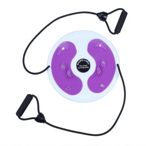 HEALTHY MASSAGE & WAIST TWISTING DISC