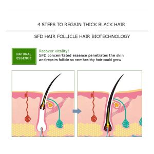 DISAAR HAIR CARE OIL