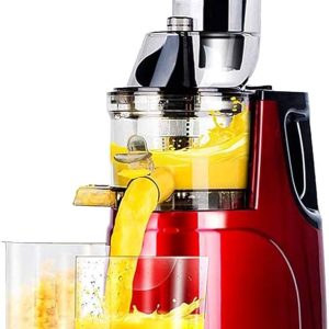 SLOW JUICER