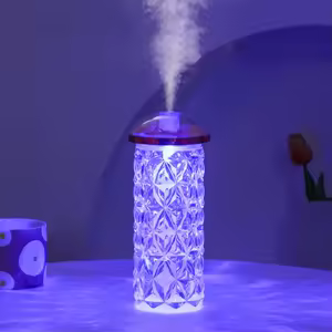 CARFISO MUSHROOM HUMIDIFIER