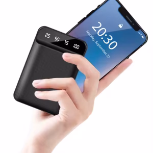 SMART POWER BANK 10K
