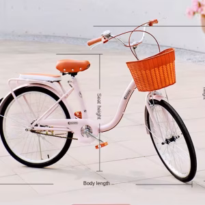 LARGE RUNNING BICYCLE