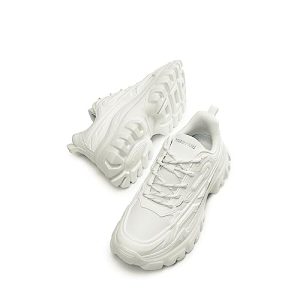 DREAM PAIRS