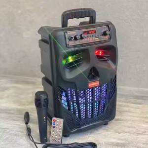 Sameecad wadato microphone heesaha lagu qaado