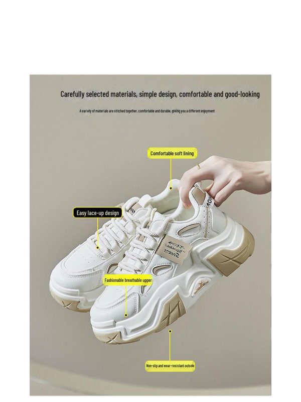 Korean Thick-Soled Dad Shoes