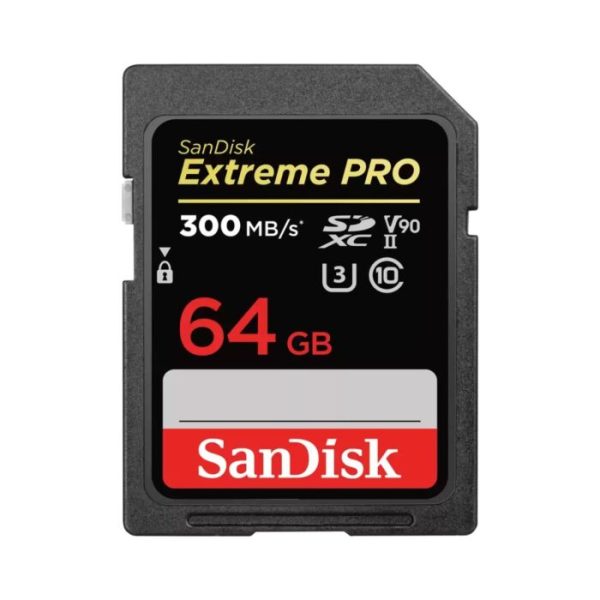 Memory Camera 64GB